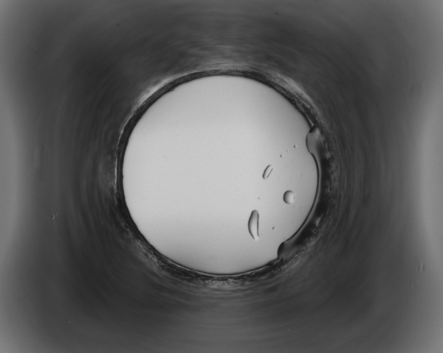X0000082931220200703020058