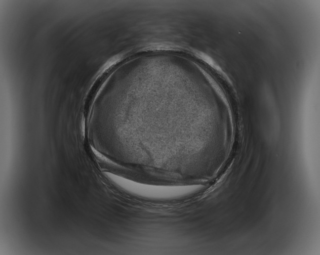 X0000082931221200703020058