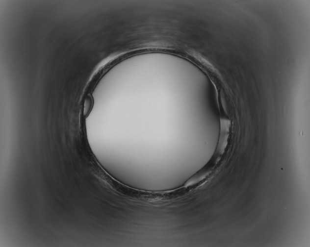 X0000082931222200703020058