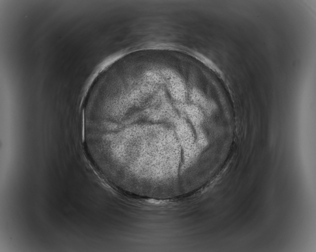 X0000082931223200703020058
