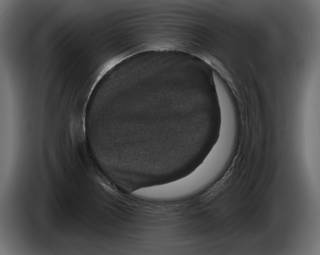 X0000082931226200703020058