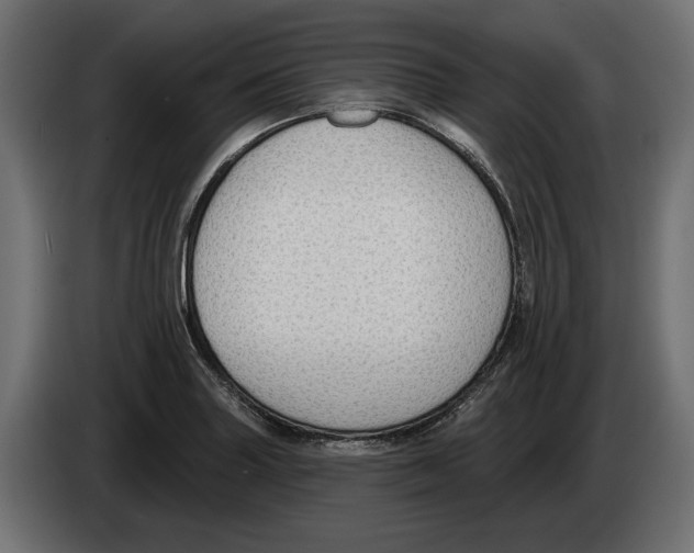 X0000082931227200703020058