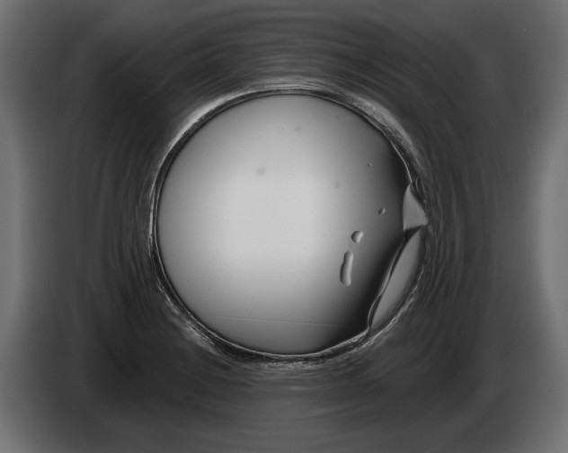 X0000082931228200703020058