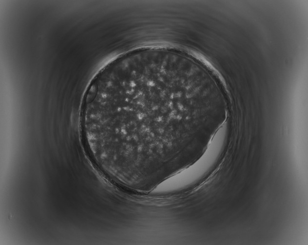 X0000082931229200703020058