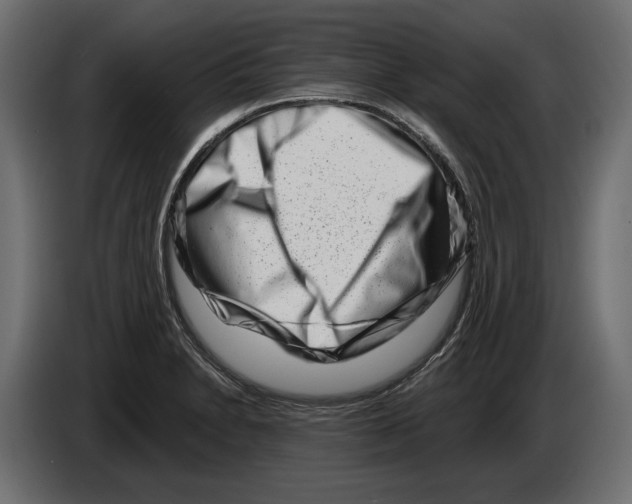 X0000082931230200703020058