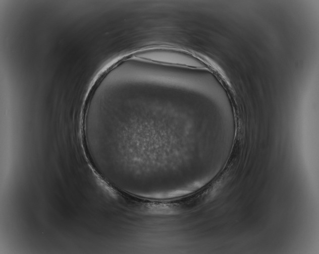 X0000082931231200703020058