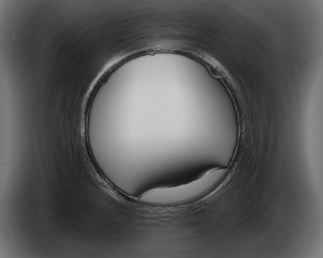 X0000082931232200703020058