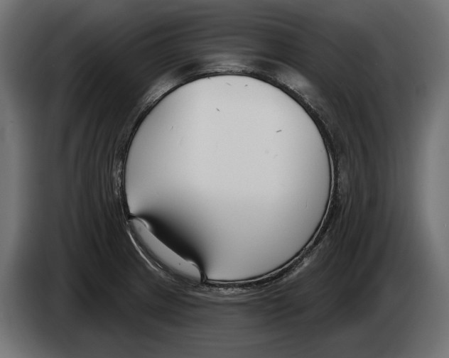 X0000082931233200703020058