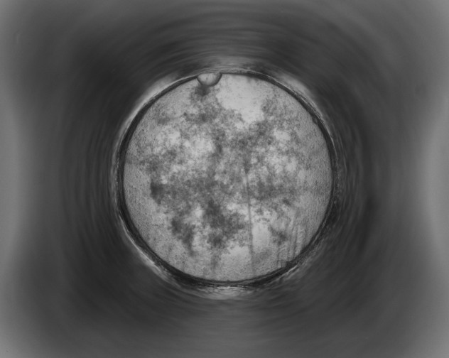 X0000082931235200703020058