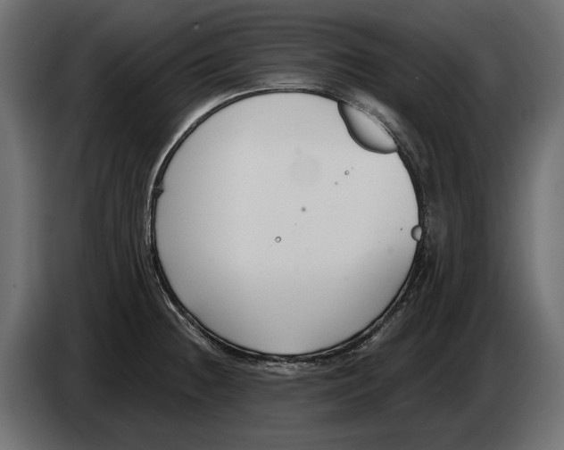 X0000082931236200703020058