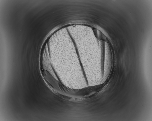 X0000082931237200703020058