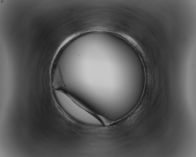 X0000082931238200703020058