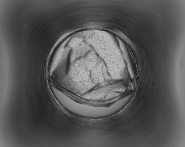 X0000082931240200703020058