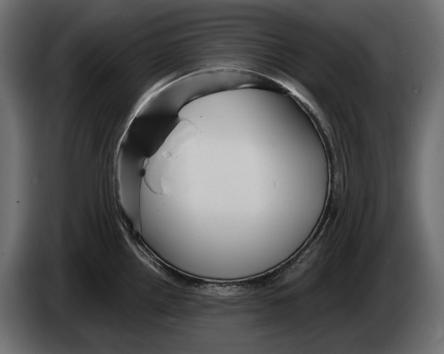 X0000082931242200703020058