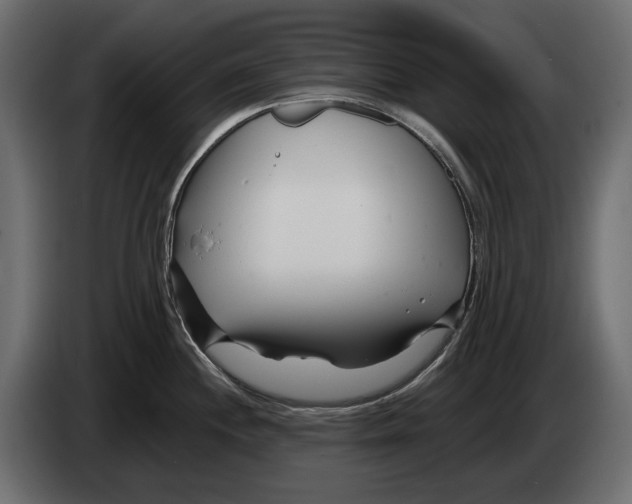 X0000082931244200703020058