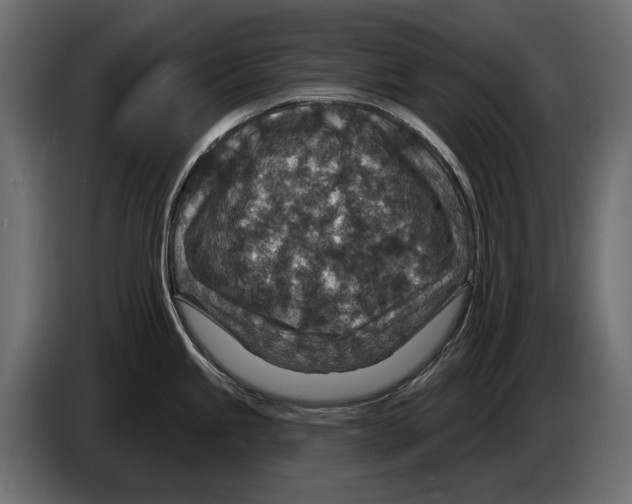 X0000082931245200703020058
