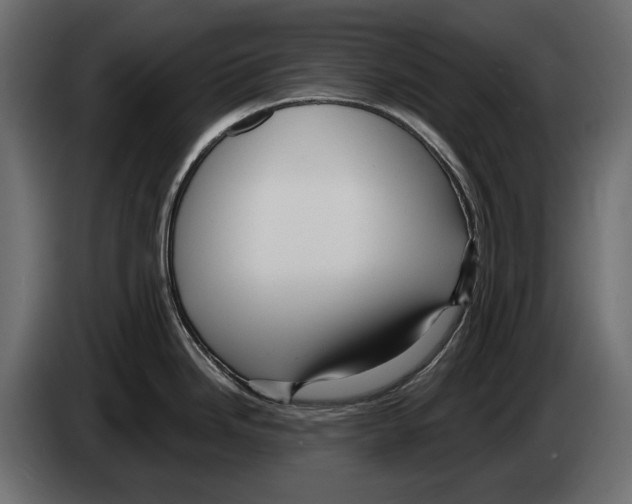 X0000082931246200703020058