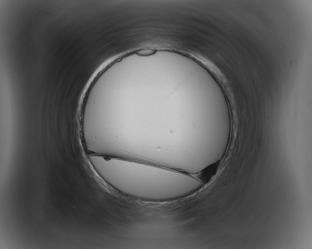 X0000082931248200703020058