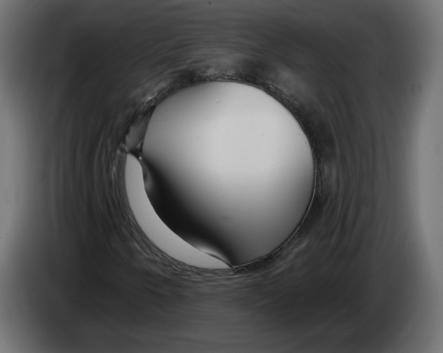 X0000082931250200703020058