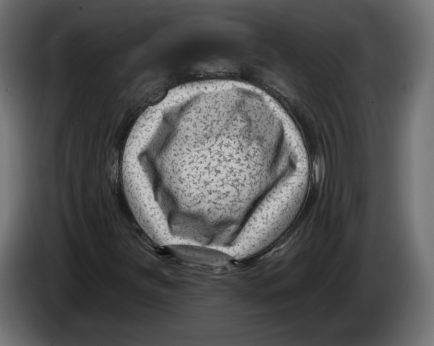 X0000082931251200703020058