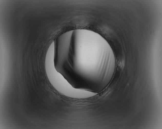 X0000082931252200703020058