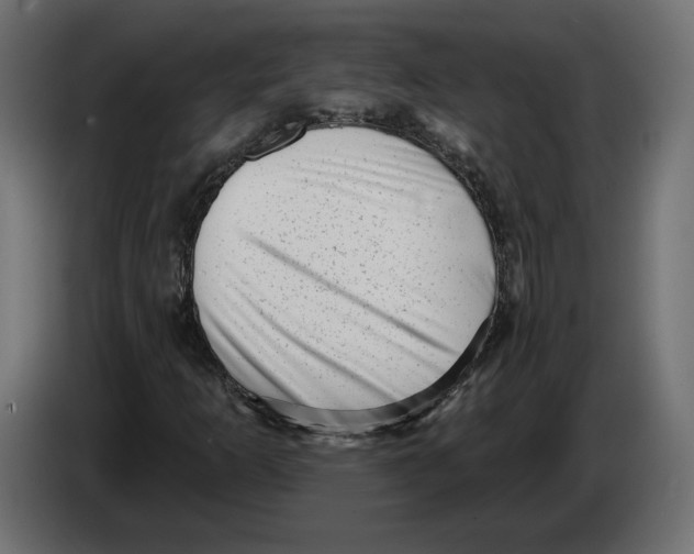 X0000082931253200703020058