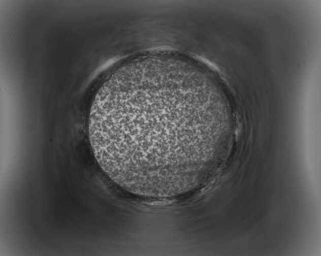 X0000082931255200703020058