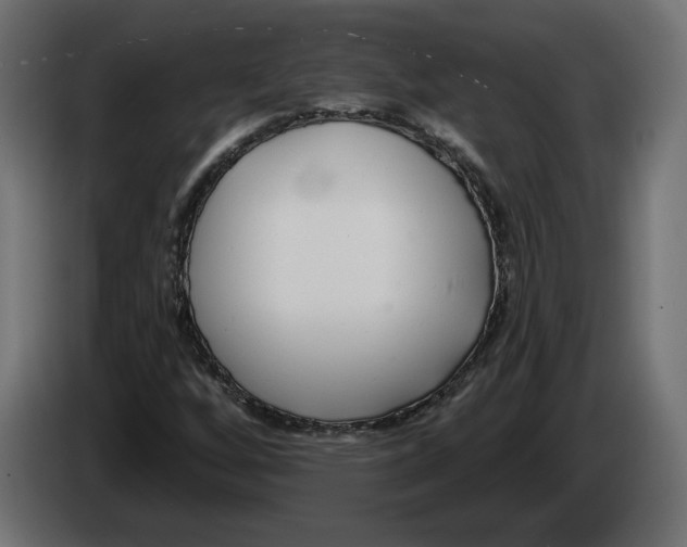 X0000082931256200703020058