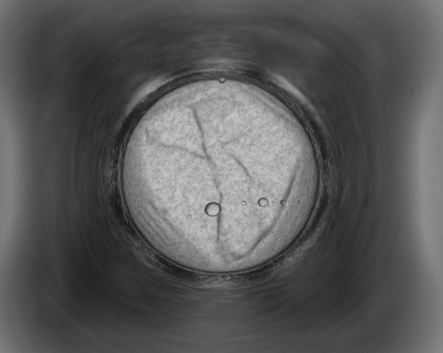 X0000082931259200703020058