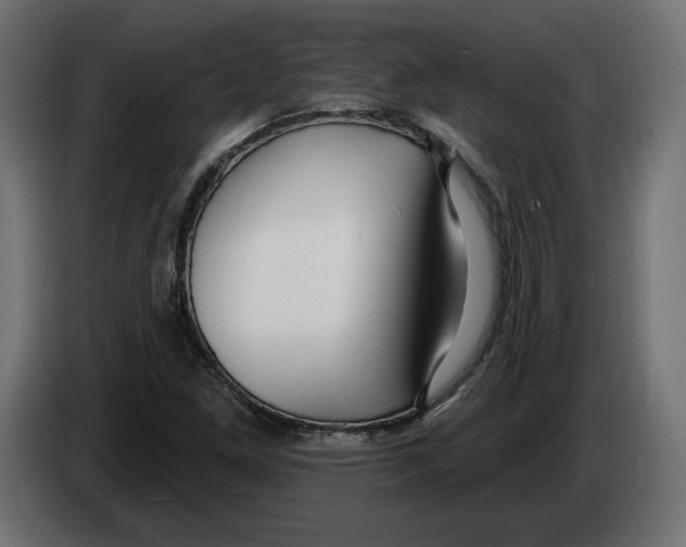 X0000082931261200703020058