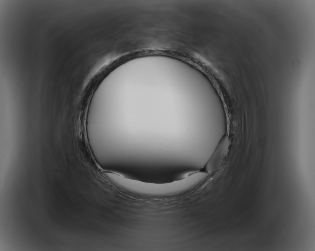 X0000082931262200703020058