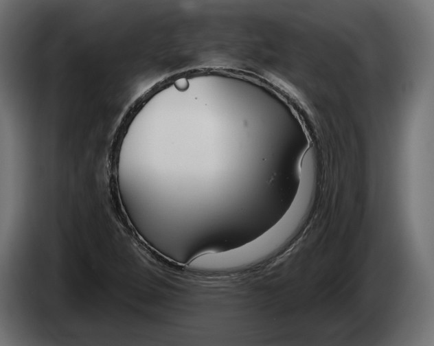 X0000082931264200703020057