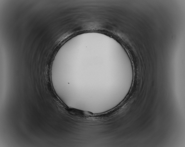 X0000082931265200703020057