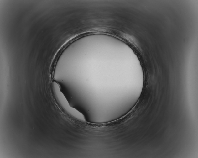 X0000082931268200703020057