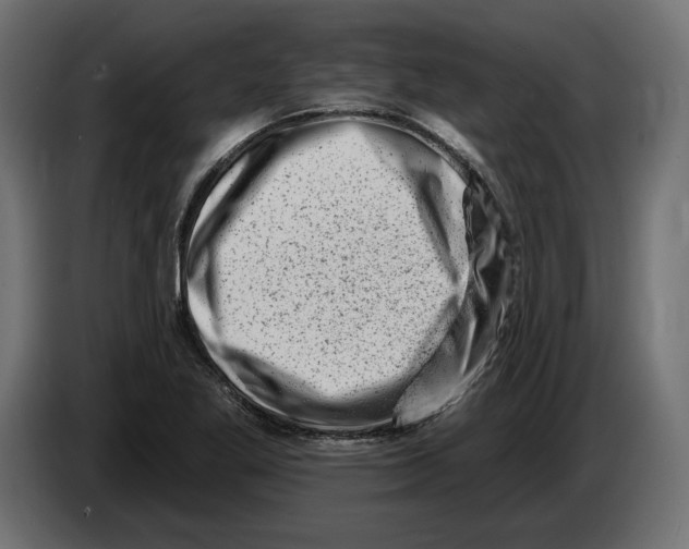 X0000082931269200703020057