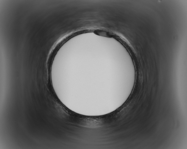 X0000082931270200703020057