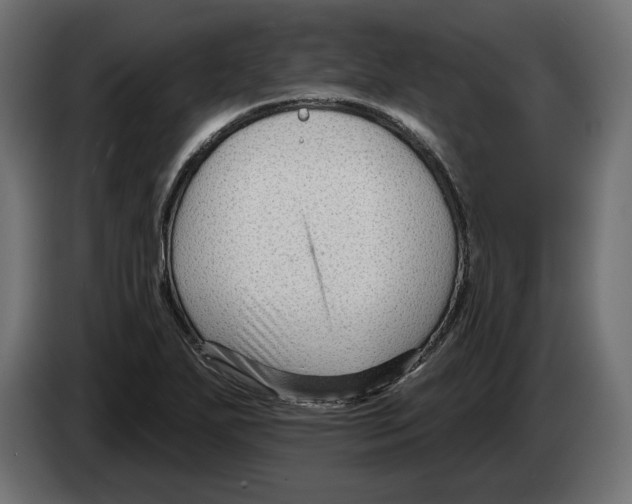 X0000082931271200703020057