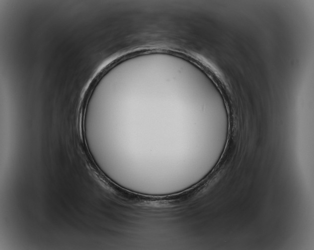 X0000082931272200703020057