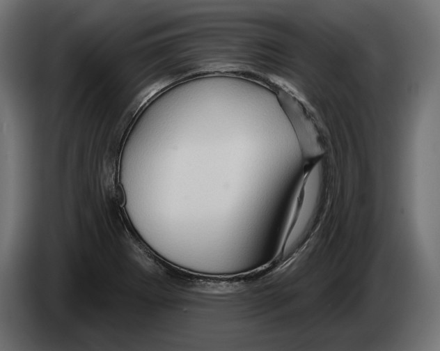 X0000082931273200703020057