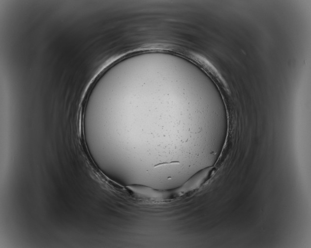 X0000082931276200703020057