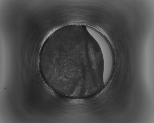 X0000082931277200703020057