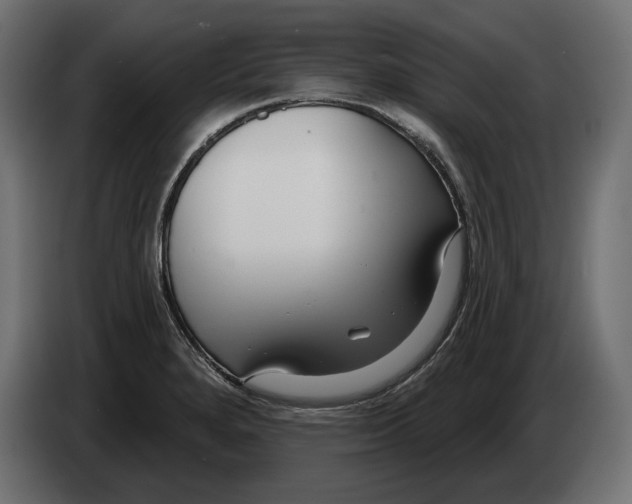 X0000082931280200703020057