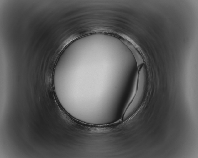 X0000082931281200703020057