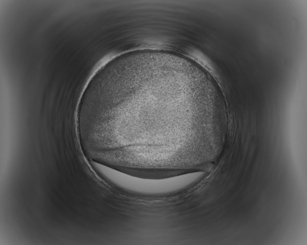 X0000082931283200703020057
