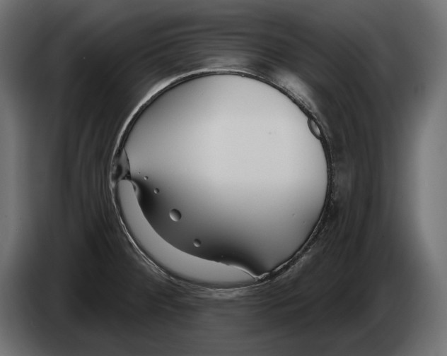 X0000082931284200703020057
