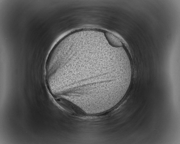 X0000082931287200703020057