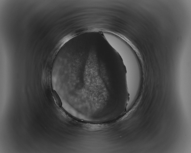 X0000082931289200703020057