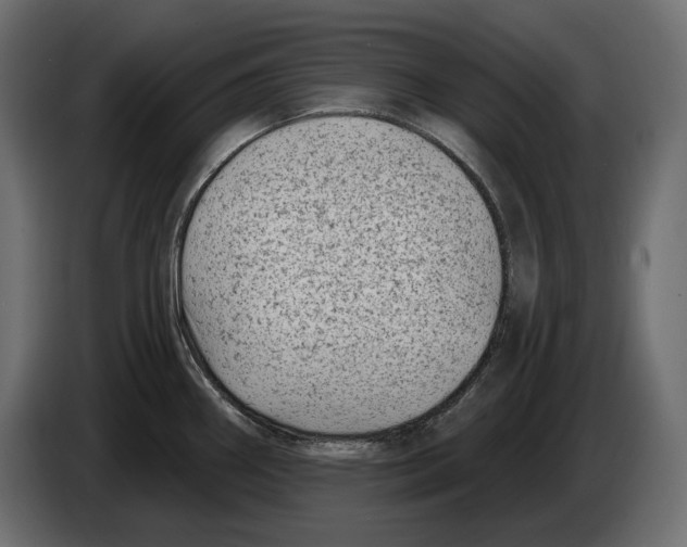 X0000082931290200703020057