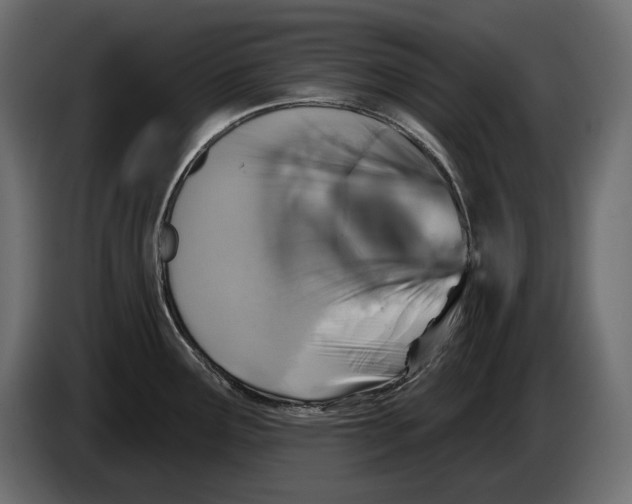 X0000082931291200703020057