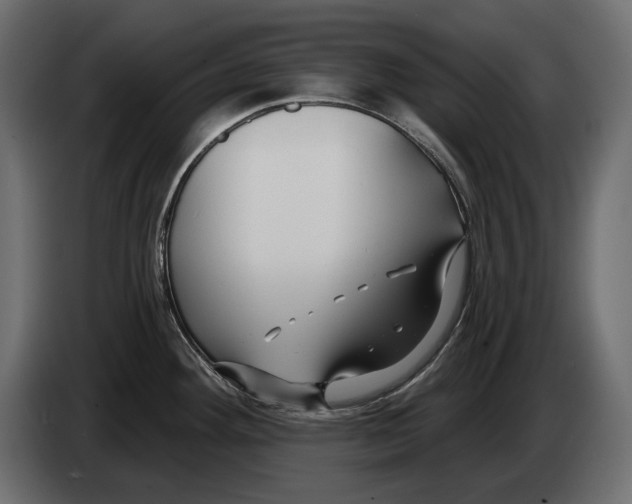 X0000082931292200703020057